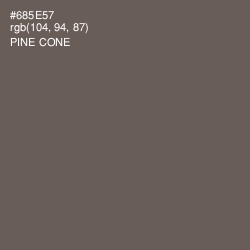 #685E57 - Pine Cone Color Image